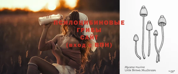 МДПВ Богородицк