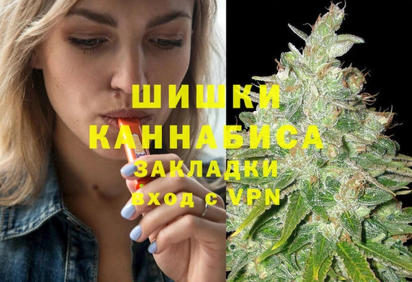 шишки Бронницы