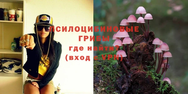 МДПВ Богородицк