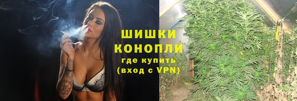 МДПВ Богородицк